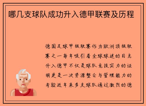 哪几支球队成功升入德甲联赛及历程